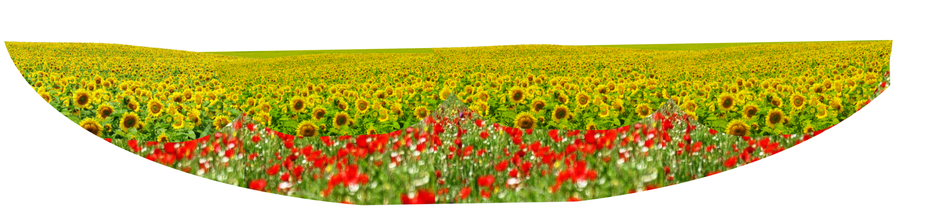 Group 3 Image