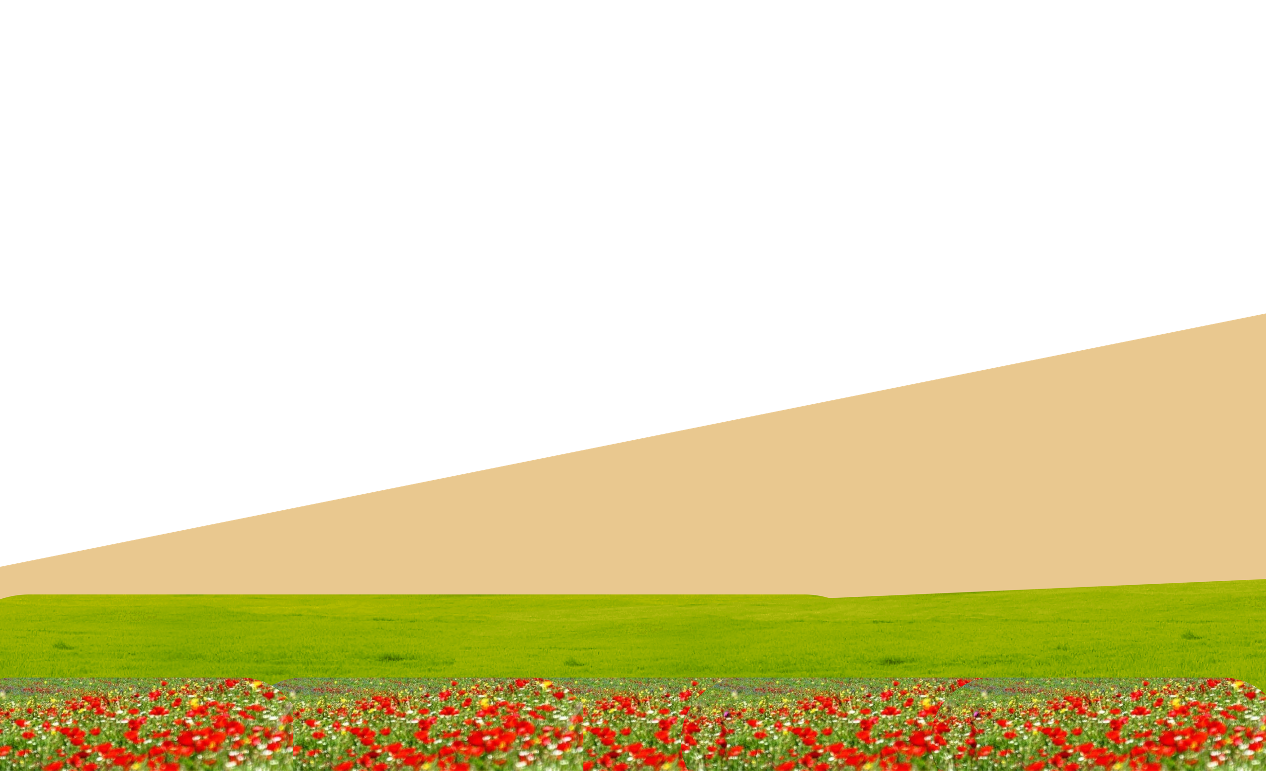 Group 3 Image